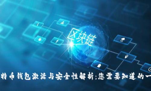 比特币钱包激活与安全性解析：您需要知道的一切