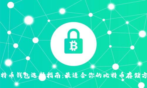 比特币钱包选择指南:最适合你的比特币存储方式