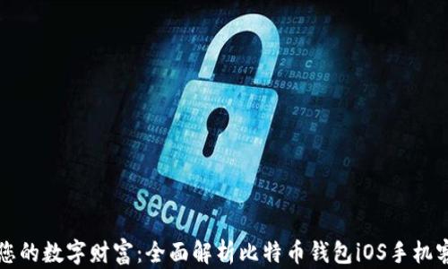 打造您的数字财富:全面解析比特币钱包iOS手机客户端