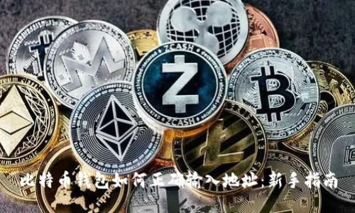 比特币钱包如何正确输入地址:新手指南